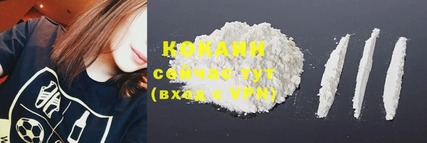 PSILOCYBIN Зерноград