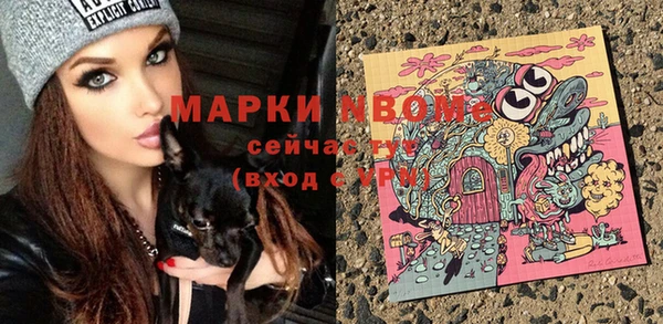 PSILOCYBIN Зерноград