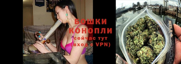 твердый Инсар
