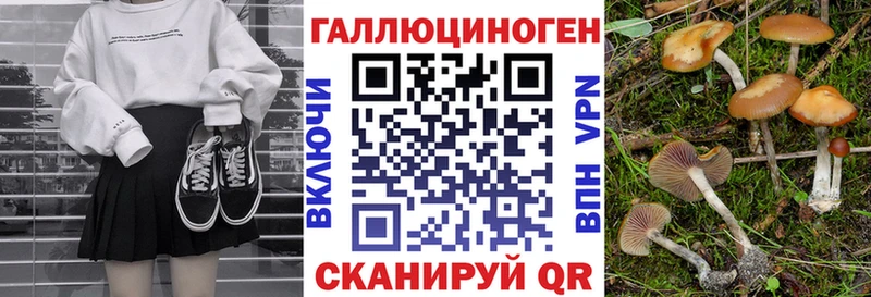 Галлюциногенные грибы Psilocybe Иннополис