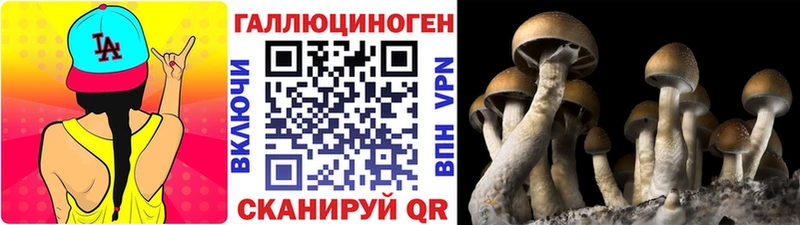 Галлюциногенные грибы Psilocybe  Купить закладки  Иннополис 